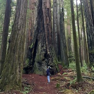 Meet your Posher, Lindsay